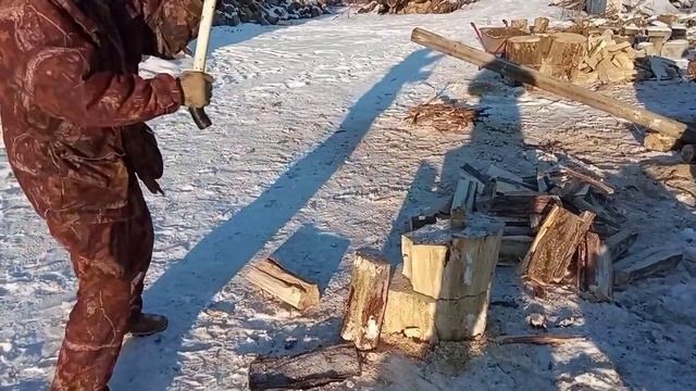 .Рубим тополя на дрова. Золотое колесо ? смотреть онлайн