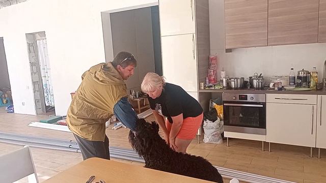 Когда в дом под видом гостя проник агрессор. Первое занятие. Город Реж Свердловской области. смотреть онлайн