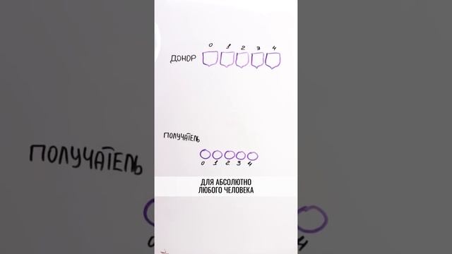 Какая ГРУППА КРОВИ самая РЕДКАЯ? — Научпок #shorts смотреть онлайн