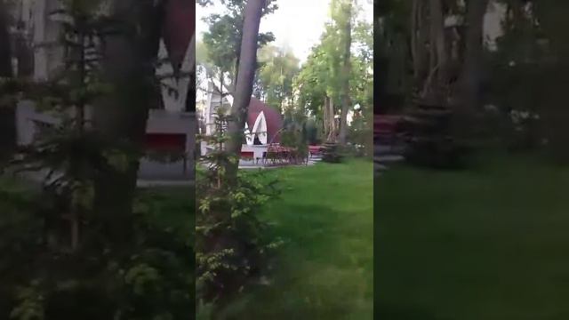 Сегодня во время утренней пробежки по парку Горького в Харькове. смотреть онлайн