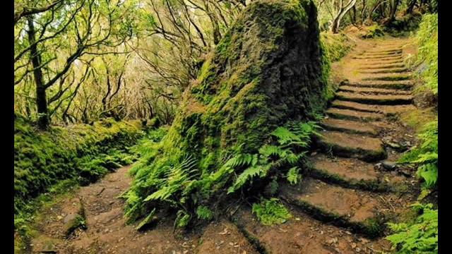 Управитель асцендента в падении и изгнании смотреть онлайн