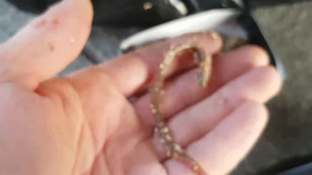 Рыбалка Корея смотреть онлайн