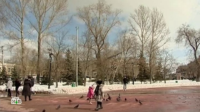 Sledstр смотреть онлайн
