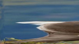 Животные Красной книги - дикий северный олень - #9