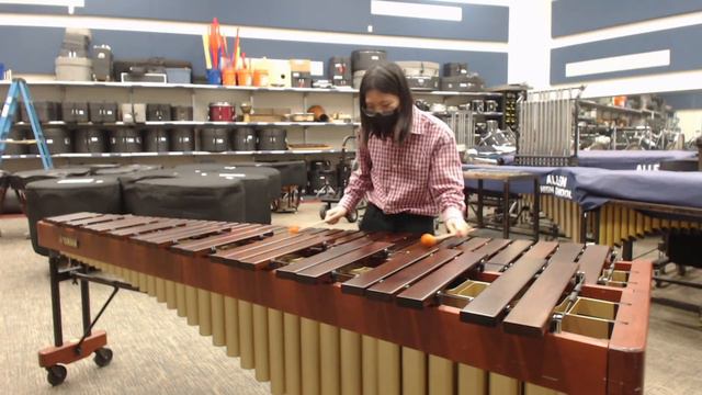tadpoles - Marimba Solo by Sebastian Zhang смотреть онлайн