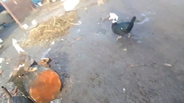 медь.4 часть? смотреть онлайн