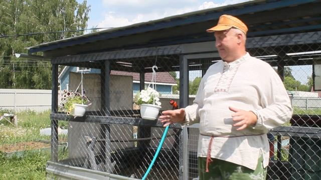 БЫСТРАЯ ПОМОЩЬ КУРАМ В ЖАРУ ! смотреть онлайн