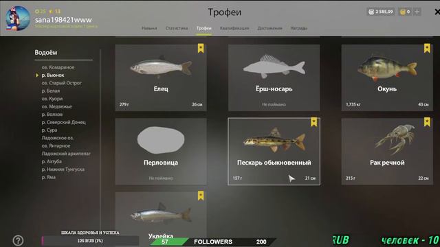 Русская Рыбалка 4🎣🎣🎣- ТУРИК🏆- Носарь..🦈Путь к первому калибру...🎣🎣🎣 смотреть онлайн