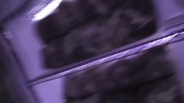 Hericium fruiting chamber 19 Nov 2015 смотреть онлайн