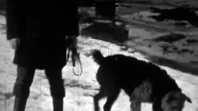 Оцифровка кинопленок 8 и 16 мм смотреть онлайн