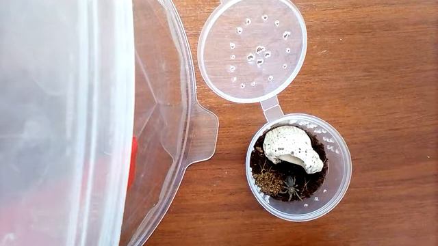 Нанду смотреть онлайн