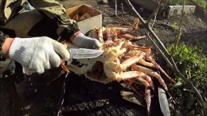 Как приготовить краба. Готовим за 10 минут. Камчатский краб! Офигенный краб.