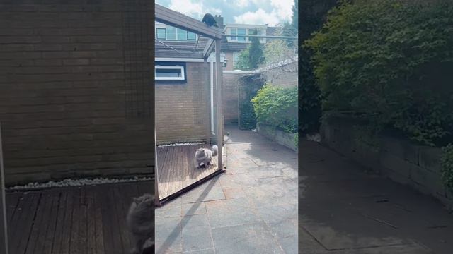 Когда не успел похудеть к лету смотреть онлайн