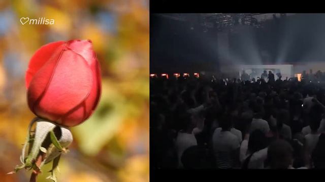 А эту женщину любил я меньше всех... Стихи о любви смотреть онлайн