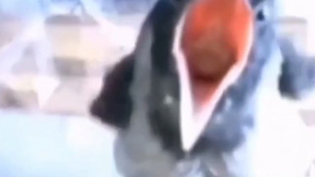 ОЧЕРЕДНОЙ НОЯБРЬ? НЕДrОЧ@БРЬ ЗАЧЕМ????