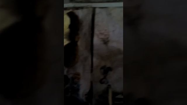 Как живут семьи военнослужащих в Бабстовском гарнизоне смотреть онлайн