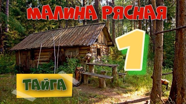 0826 - МАКАРЫЧ В ТАЙГЕ _ ТАЁЖНАЯ МАЛИНА _ МЕДВЕДЬ В КУСТАХ _ ЖИЗНЬ В ЛЕСУ 1 смотреть онлайн