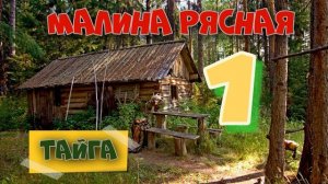 0826 - МАКАРЫЧ В ТАЙГЕ _ ТАЁЖНАЯ МАЛИНА _ МЕДВЕДЬ В КУСТАХ _ ЖИЗНЬ В ЛЕСУ 1