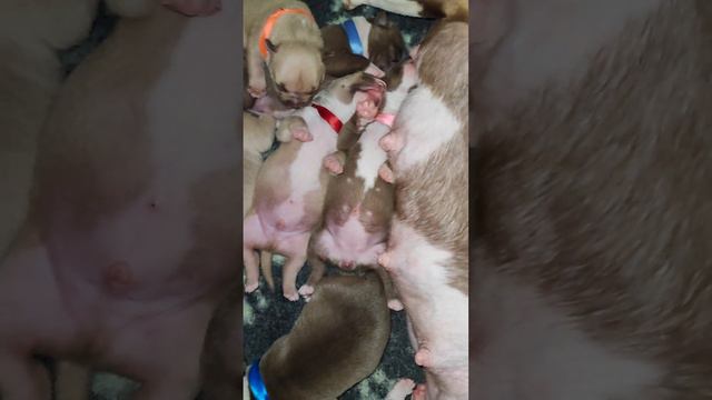 🥰кайфули😋 смотреть онлайн