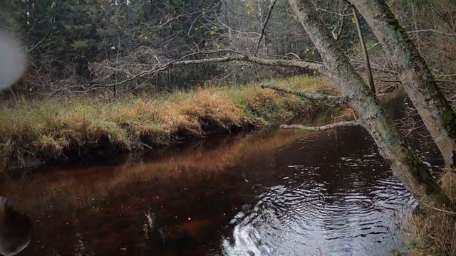 Маленькие пятна. смотреть онлайн