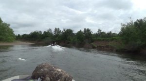 Арчи и К, Терсь нижняя 250623