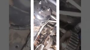 Замена грм + помпа форд фьюжн (фьюжин) 1,4 - 1,6 форд 1,4 - 1,6