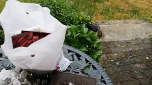 НОВЫЙ ПОХод НА БАРАХолкУ В ГЕРМАНИИ! БЛОШиный РЫНОК в ГЕРМАНИИ! ВИНТАЖ! С ОЛЕЙ РЕТРО