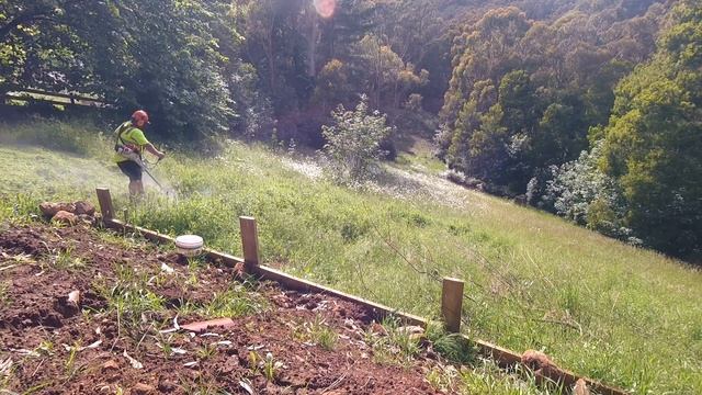 Brush cutting grass with the STIHL FS 560 C-EM смотреть онлайн