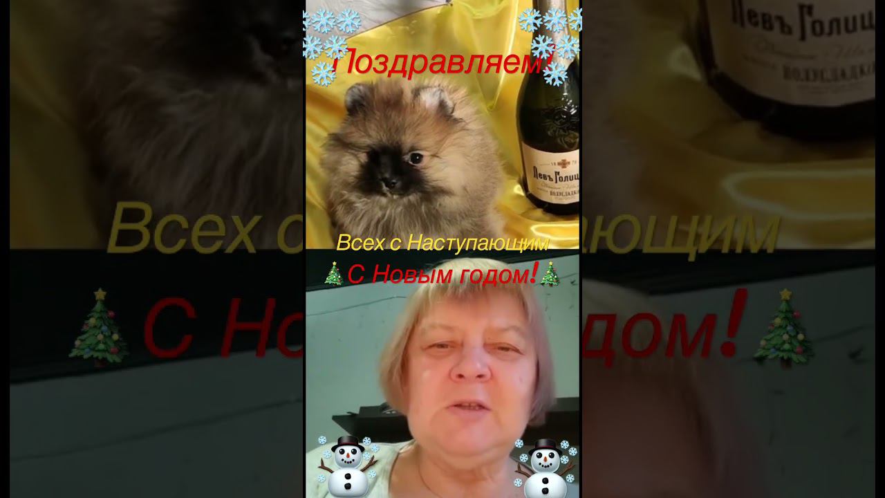 Мама поздравляет всех с Наступающим Новым годом! смотреть онлайн