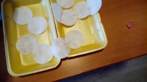 Замочить семена томата правильно | обработка  семян фитоспорином от болезней | подготовка к посадке