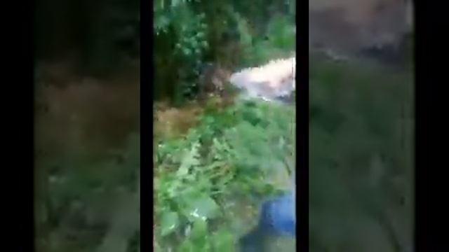 Не детская охота смотреть онлайн