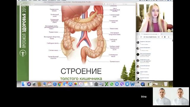 Протокол здоровья День №3 смотреть онлайн