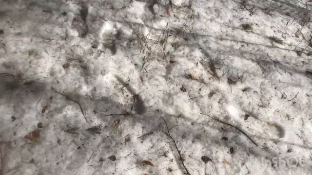 Металлокоп!Продолжаем копать по обочинам и в посадках))) смотреть онлайн