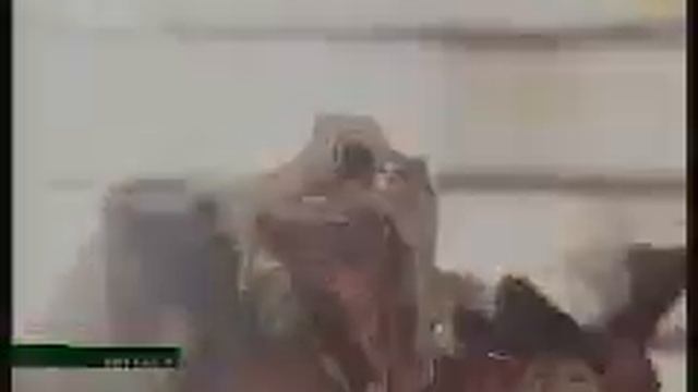 Ксения Ситник Новости 5 смотреть онлайн
