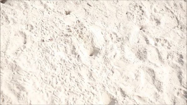 ADULT CONTENT Cleaning house naked, nude