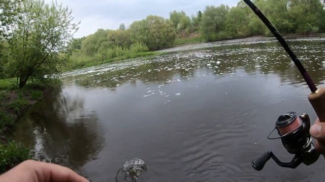 Оживление р Пахра 2022г. Ловля белого хищника смотреть онлайн