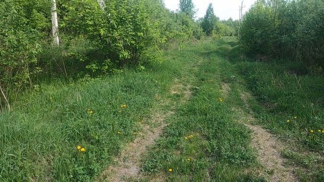 Коп металла с AR944M на битых местах. смотреть онлайн