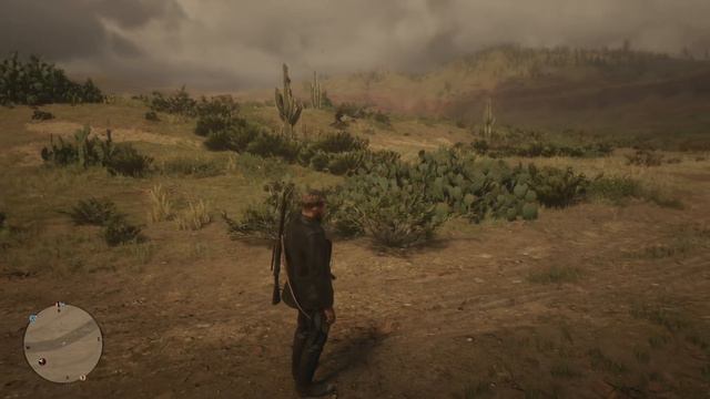 Can you walk a bowl of stew across the map in Red Dead Redemption 2? смотреть онлайн