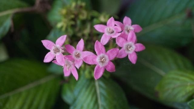 NIKON D3400 / SONY A37 FOTOS jul-dic 2021 смотреть онлайн