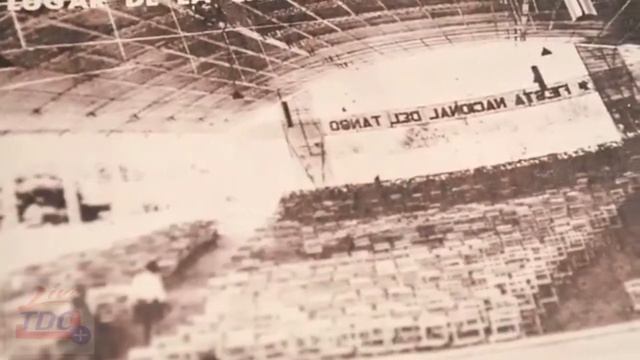 doc vivo tango 1 parte смотреть онлайн