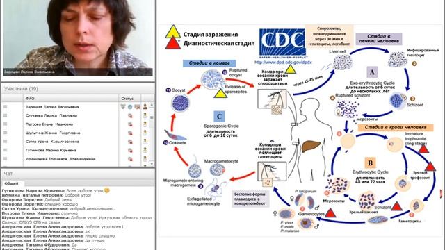 Паразитология. Малярия.mp4