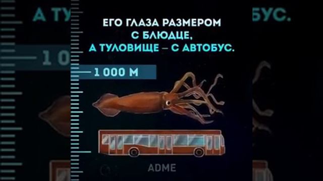 Океан глубже чем вы думаете. смотреть онлайн