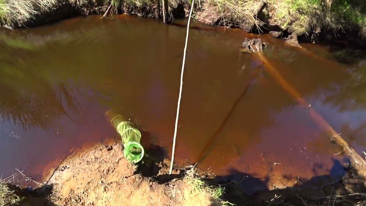 ПОЙМАЛ ЩУКУ НА ПАЛКУ #shorts смотреть онлайн