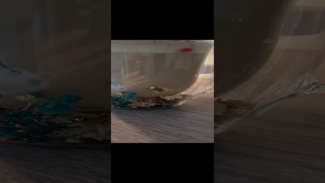 #shorts 27-02-2024 Поздняя Масленица, поздняя Пасха, поздняя весна…. смотреть онлайн