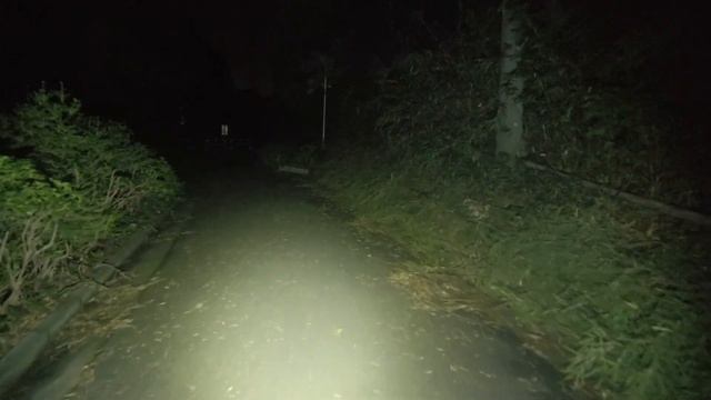 心霊スポット 015 神奈川県横浜市 緑山峠 Night Walk in Japan | HUNT |haunted |【心霊映像】 смотреть онлайн