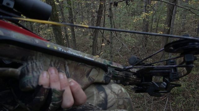 Bow Hunting - Sony FDR-AX43 Low Light Testing - 30 Foot Up A Tree at Dusk - Real Life Deer Hunting смотреть онлайн