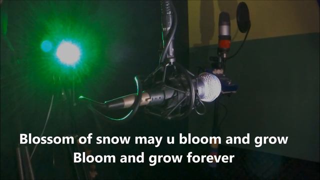 Edelweiss 雪絨花 ( Cover Version ) смотреть онлайн