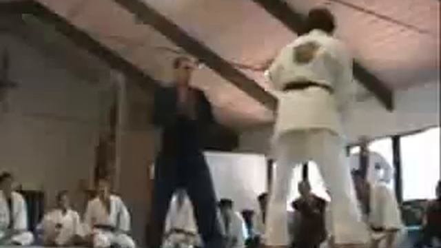 Мастер джиу-джитсу.flv смотреть онлайн