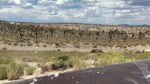 Honda Element - 2024 will bring new Adventures