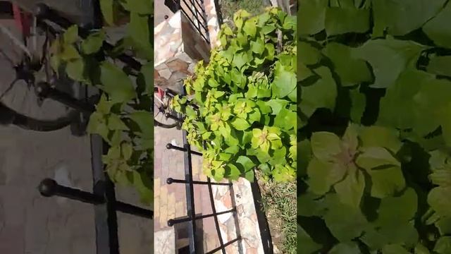 Ooo my god ? mere per kaha hai ?Prat 3 #vlogs #video смотреть онлайн